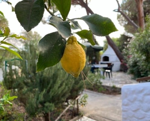 Casa Carla Valledoria - Sardegna Casa Carla Valledoria - Sardegna